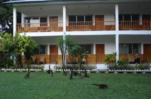 a group of birds in front of a building at Hotel Tikal Inn in Tikal