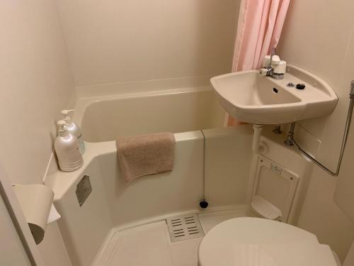 a small bathroom with a sink and a toilet at Turtle Inn Nikko in Nikko