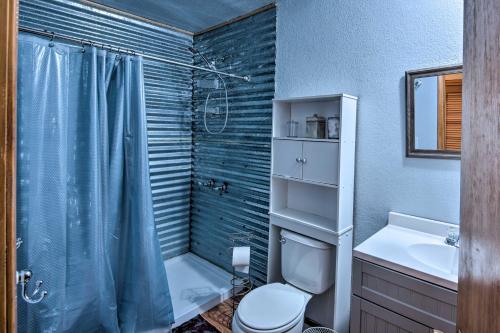 une salle de bain avec toilettes, douche et lavabo dans l'établissement 7 Mi to Heavenly Ski Resort Cozy Tahoe Cabin, à South Lake Tahoe