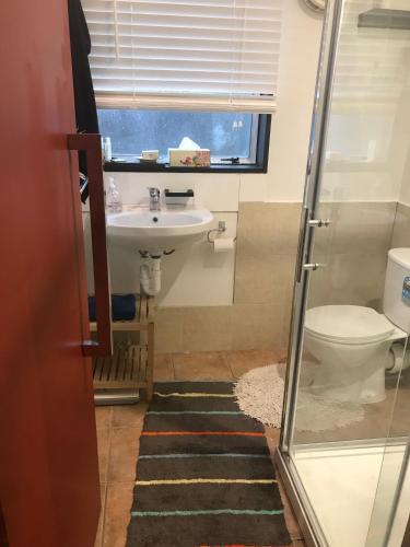 a bathroom with a sink and a toilet and a window at Pryor Haven Chalet Green Retreat in a Lovely Place in Christchurch