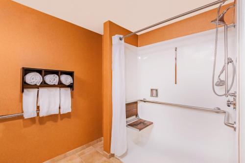 Bathroom sa Holiday Inn Express Hotel & Suites San Jose-Morgan Hill, an IHG Hotel