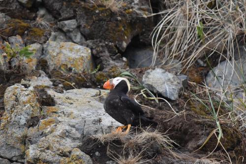 Zachar Bay Lodge – Photos 4