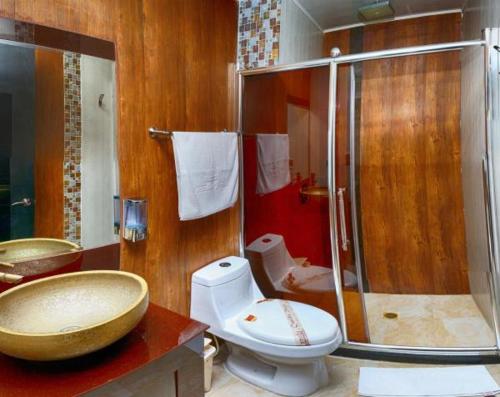 a bathroom with a sink and a toilet and a shower at Hotel Castillo Resort in San Gil