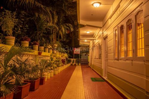 a hallway with potted plants in a building at Kanchans Nest I Rooms & Suites near Port Blair Airport in Port Blair