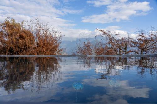 a body of water with trees and clouds in the sky at Provence Rose Lodge in Renai