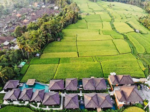 an aerial view of a resort with green plantations at Kayangan Villa Ubud in Tegalalang
