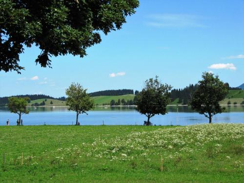 a grassy field with trees and a lake at Gästehaus Seeklause in Schwangau