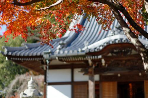 a building with a blue roof and a tree at 宿坊 端場坊｜Temple Hotel Habanobo in Minobu