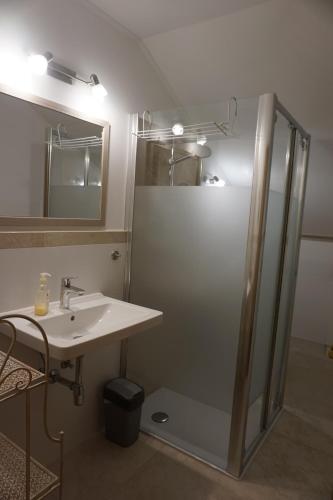 W łazience znajduje się umywalka i prysznic. w obiekcie Gölsenhof - Fam. Büchinger w mieście Wald