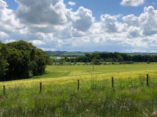 a field of grass with a fence in the foreground at Tweed Hideaway in Kelso
