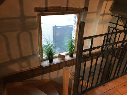 a window with two plants sitting on a window sill at La cabane du chasseur in Flines-lès-Mortagne