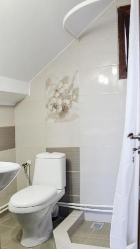 a bathroom with a toilet and a sink at Casa Roua Muntilor in Câmpulung Moldovenesc