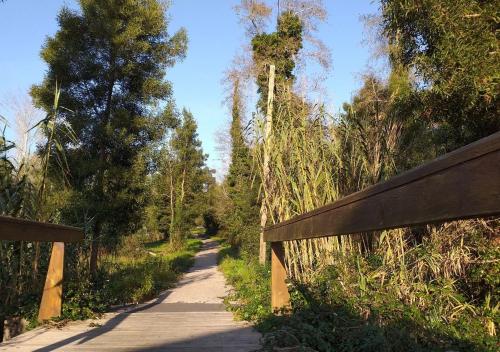 a dirt road with a bridge and trees at Greenside of Sea in Corujeira