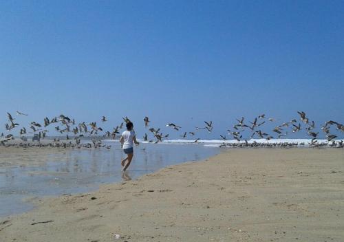 a woman walking on the beach with a flock of birds at Greenside of Sea in Corujeira