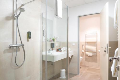 W łazience znajduje się prysznic, umywalka i toaleta. w obiekcie Mythenresort Heimdall w mieście Thale