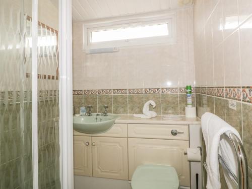 a bathroom with a sink and a toilet and a shower at Tiggy Winkle in Saint Merryn