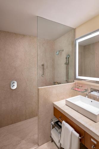 a bathroom with a sink and a shower at Trident Udaipur in Udaipur