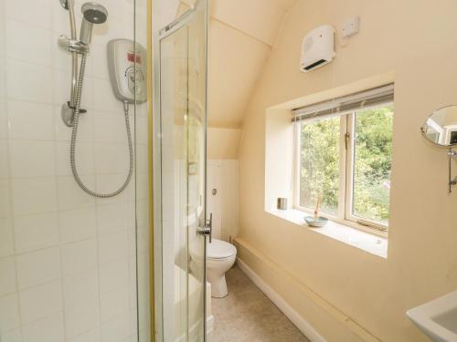 baño con ducha y aseo y ventana en Pembridge Cottage, en Llanrothal