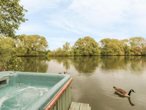 a bath tub with a duck swimming in a river at Island Yurt in Beckford
