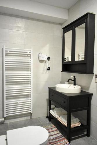 a bathroom with a sink and a mirror and a toilet at Villa Waterfalls Plitvice in Rakovica