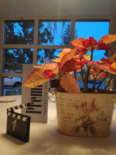 a potted plant sitting on a table next to a window at Segovia Sierra de Guadarrama in Los Ángeles de San Rafael