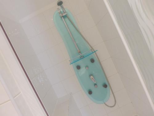 ein blaues WC in einer Dusche im Bad in der Unterkunft 3 Primitive Mews in Chelmorton