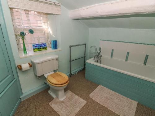 a bathroom with a toilet and a bath tub at The Homestead in Hawes