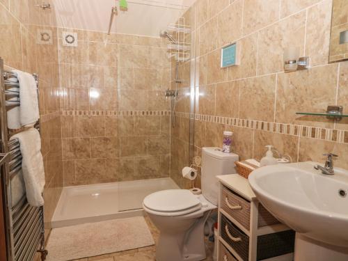 La salle de bains est pourvue de toilettes, d'un lavabo et d'une douche. dans l'établissement Little Argham Cottage, à North Burton