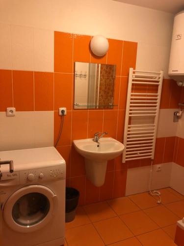 a bathroom with a washing machine and a sink at L&B Lake view modern apartment in Lipno nad Vltavou