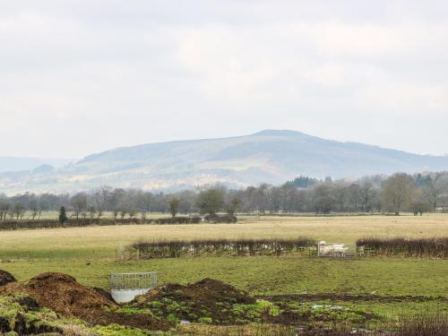 a field with a mountain in the background and a field with a cow at Broadhay in Hathersage
