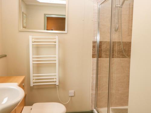 a bathroom with a shower and a toilet and a sink at Tawny Owl Barn in Shipdham