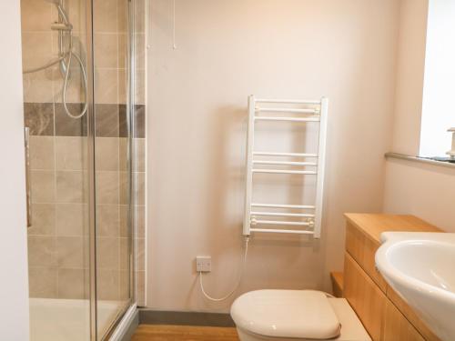 a bathroom with a shower and a toilet and a sink at Snowy Owl Barn in Shipdham