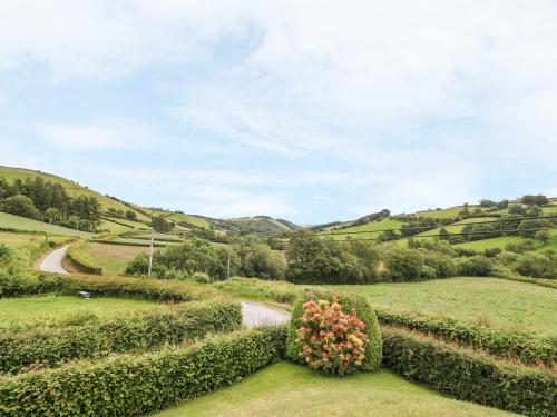 a garden with hedges and a winding road at Drainbyrion Farm House in Van