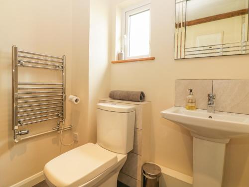 een witte badkamer met een toilet en een wastafel bij Higher Whiddon Farm Whiddon Well in Ashburton