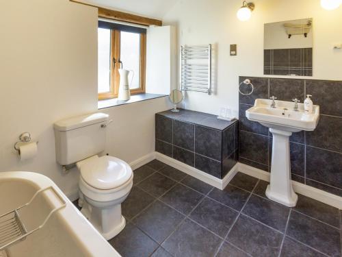 un baño con inodoro y lavabo en Little Cow House, en Chirk