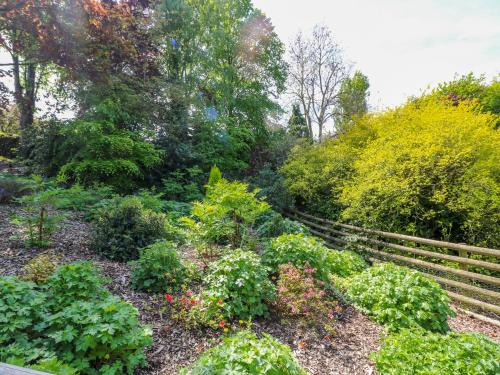 a garden with flowers and bushes and a wooden fence at Vale Barn in Dronfield