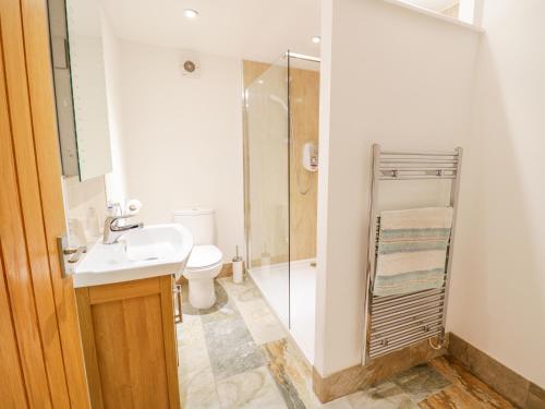 ein Badezimmer mit Dusche, Waschbecken und Toilette in der Unterkunft Plas Tirion Cottage in Mostyn