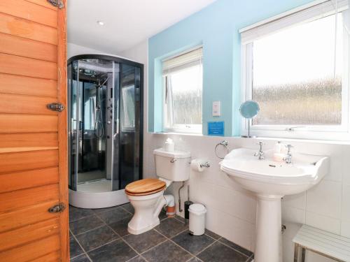 y baño con aseo, lavabo y ducha. en Poppies Cottage, en Craignure