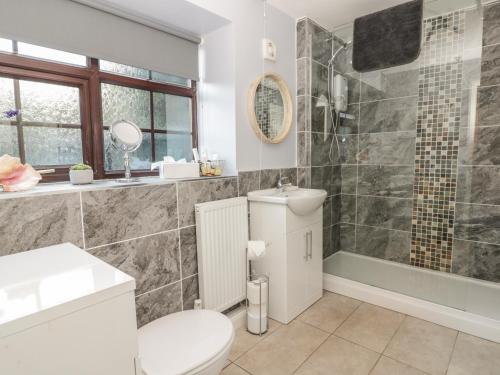 a bathroom with a toilet and a shower and a sink at Glebe Hall Apartment in Marske-by-the-Sea