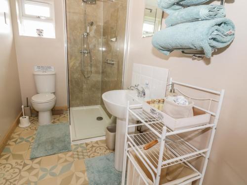 a bathroom with a sink and a shower and a toilet at The Stable at Church Farm House in Cantley