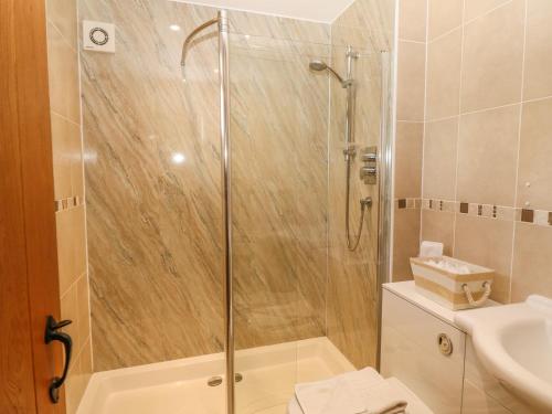 a bathroom with a shower and a sink at Cornel Glyd in Dyffryn