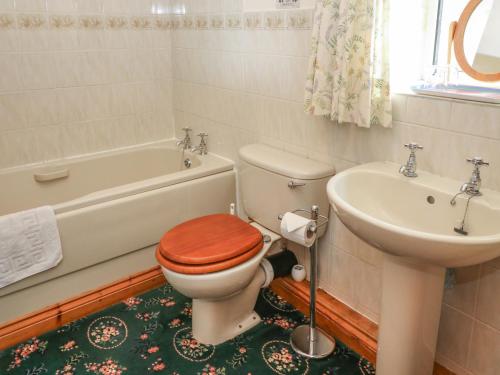 a bathroom with a toilet and a sink at Sycamore Cottage in Cotterdale