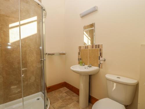 y baño con aseo, lavabo y ducha. en Stable Cottage, en Thirsk