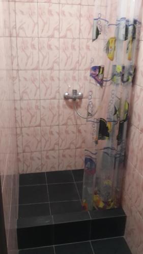 um chuveiro na casa de banho com uma cortina de chuveiro em Гостевой дом Сафар, номера с отдельным входом em Kapchagay