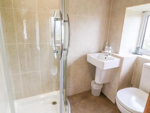 a bathroom with a shower and a toilet and a sink at Bumble Cottage in Darley