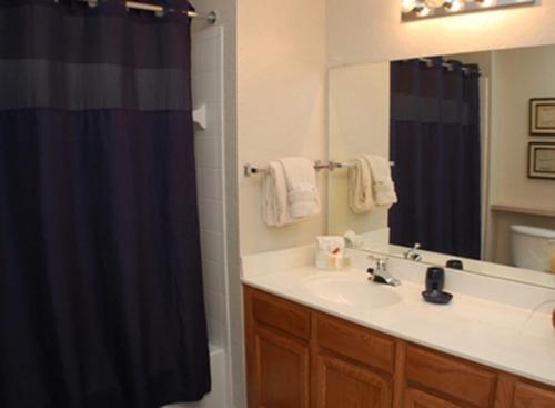 ein Bad mit einem Waschbecken und einem Spiegel in der Unterkunft Fairytale Escape in Kissimmee