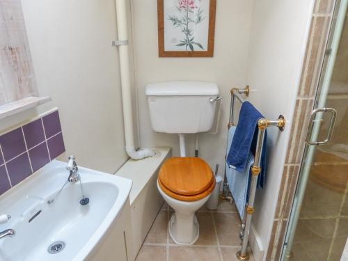 a bathroom with a toilet and a sink and a shower at The Old Stable in Abergavenny
