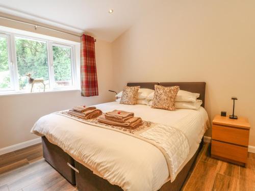 a bedroom with a bed with a dog looking out the window at Rose Cottage in Belper