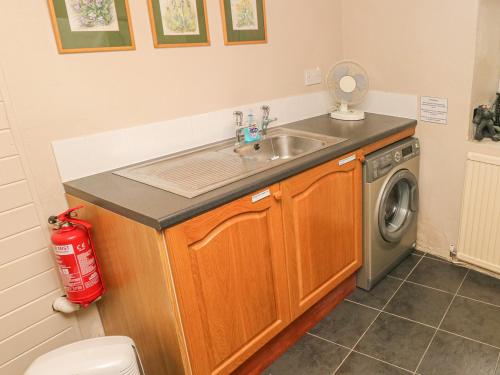 uma casa de banho com um lavatório e uma máquina de lavar roupa em Kingfisher em Whitland