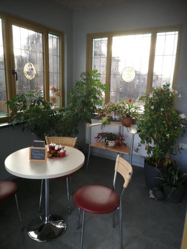 a room with a table and chairs and potted plants at Gasthaus & Pension Am Rennsteig in Spechtsbrunn